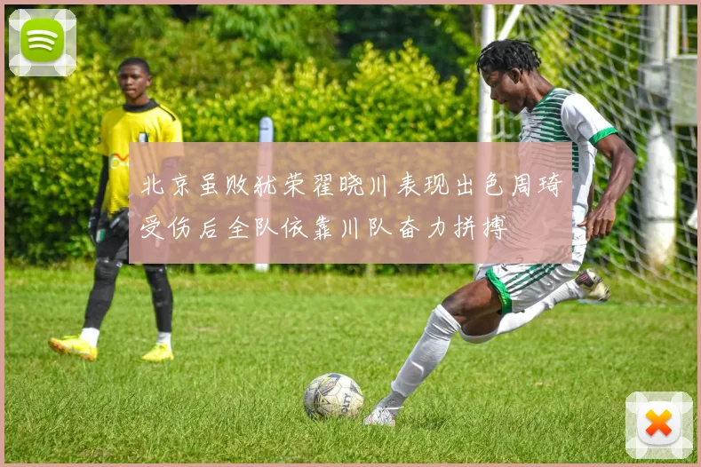 北京虽败犹荣翟晓川表现出色周琦受伤后全队依靠川队奋力拼搏